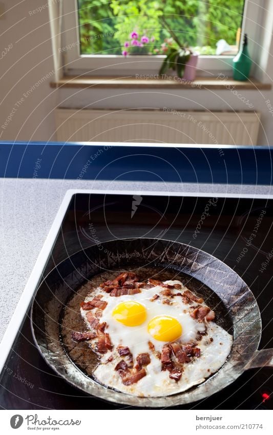 sunny side up Bacon Egg Fried egg sunny-side up Deserted Bacon cube Pan iron pan Stove & Oven Kitchen Black Fat Window Hot plate Living or residing