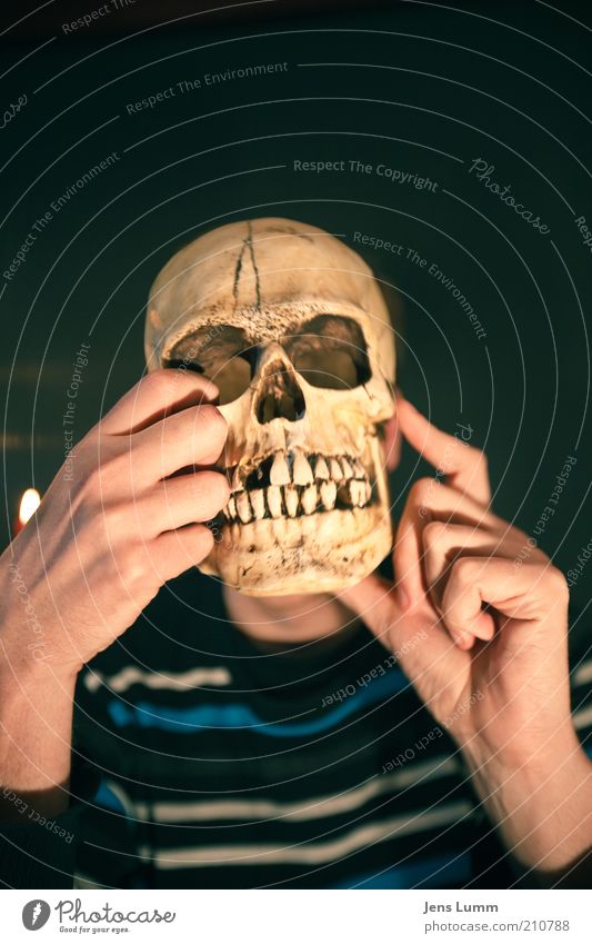 Skeleton Has Brain Handsbrain Skeletonmodel Skeleton Stock Photo