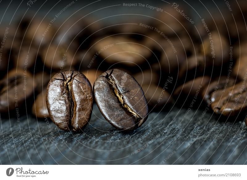 Two cuddly coffee beans on a slate Coffee bean To have a coffee Hot drink cake Café Fragrance Brown Black Slate Caffeine fully automatic coffee maker