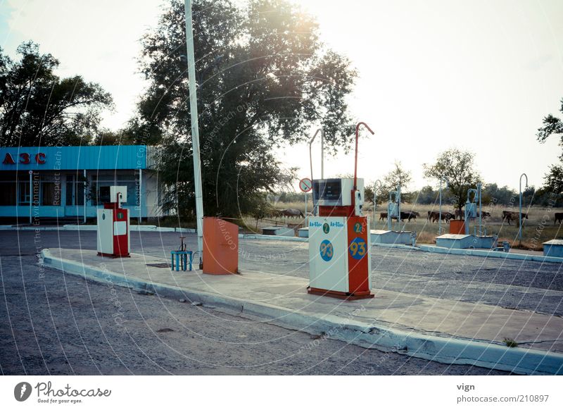 biofuel Nature Kazakhstan Petrol station road trip Colour photo Exterior shot Deserted Evening Vacation & Travel Petrol pump Road movie Authentic In transit