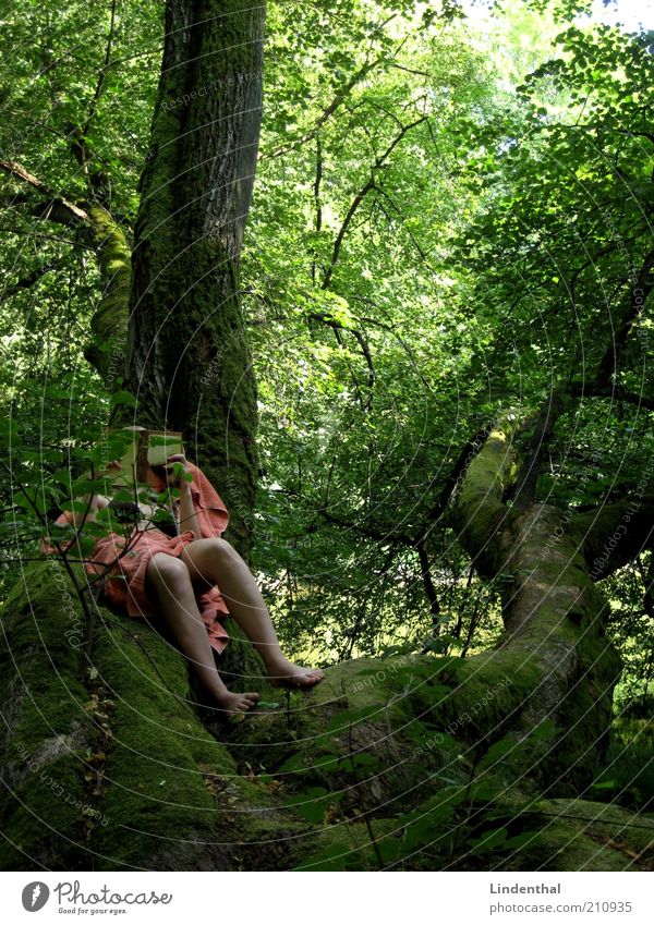 Green Paradise #2 Human being Feminine Woman Adults 1 Nature Summer Beautiful weather Tree Reading Towel Orange Book Legs Lie Branch Tree trunk Idyll Relaxation