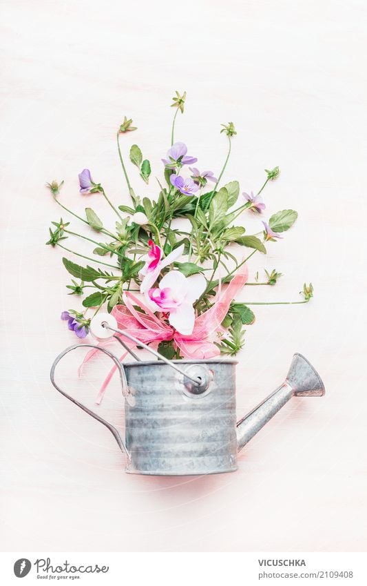 Watering can with flowers Style Design Leisure and hobbies Garden Nature Plant Flower Decoration Bouquet Gardening Gift Colour photo Studio shot Close-up