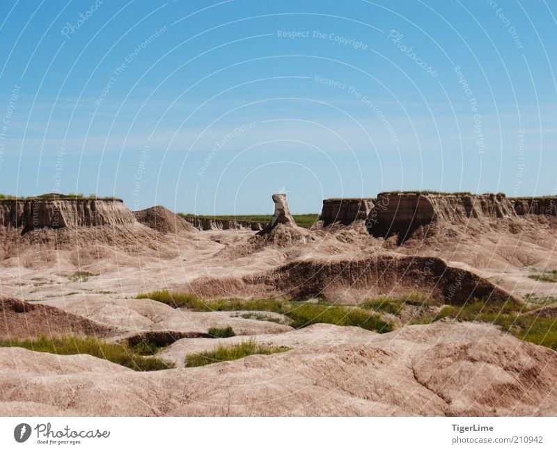 Badlands Bull Chase Environment Nature Landscape Earth Sand Air Cloudless sky Sunlight Summer Beautiful weather Warmth Drought Grass Rock Canyon Far-off places
