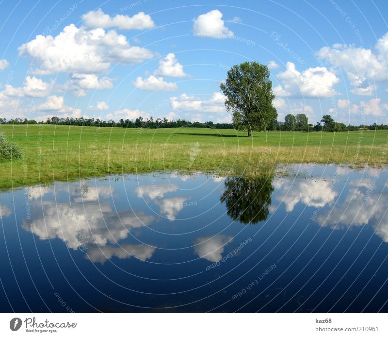 After the rain Environment Nature Landscape Plant Water Sky Clouds Weather Tree Grass Meadow Lakeside Bog Marsh Pond Hungary Green Blue Mirror Shadow Beautiful