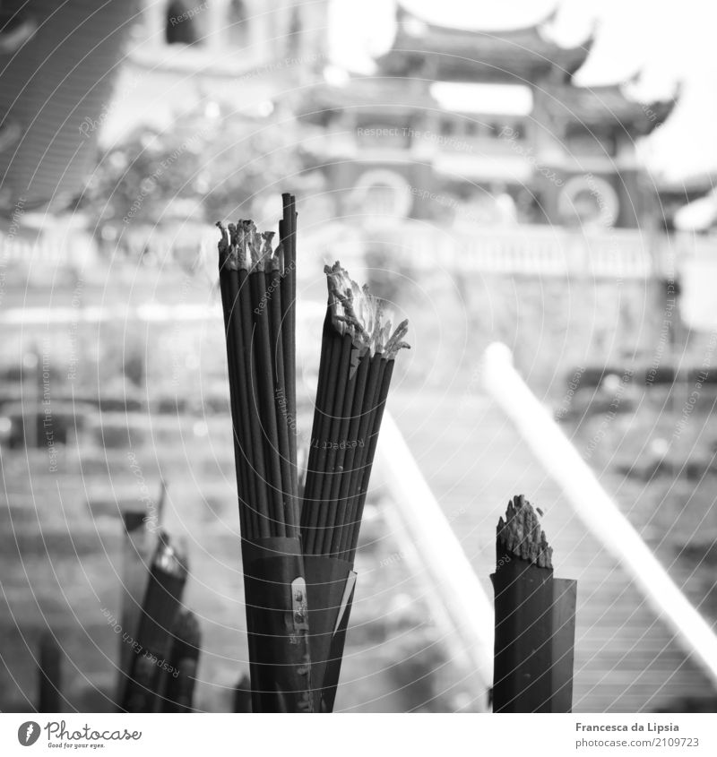 incense sticks Penang Malaya Asia Deserted Temple Pavilion Joss sticks Tourist Attraction Smoking Old Esthetic Far-off places Historic Near Town Gray Fragrance