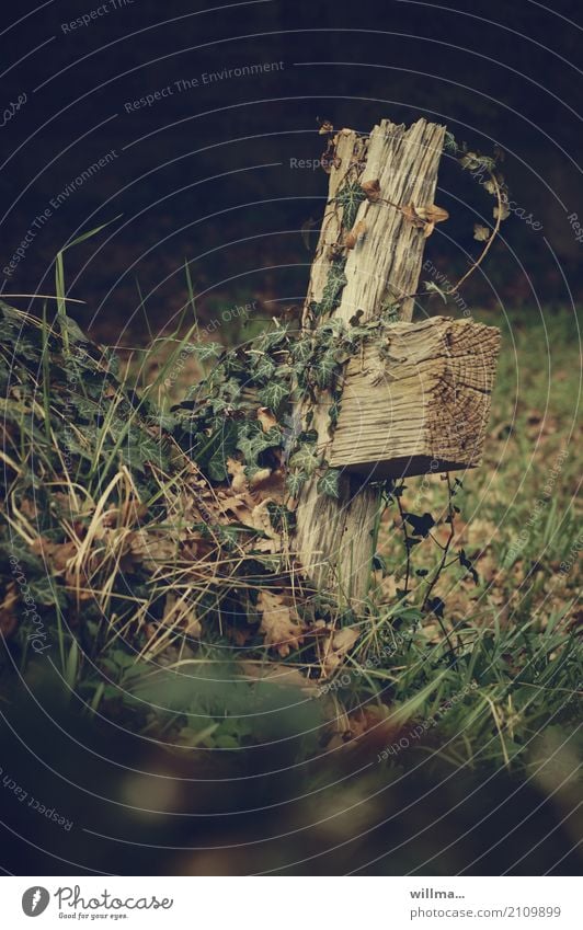 Weathered wooden cross - what remains Wooden cross Religion and faith Death Decline Past Transience Lose Cemetery Ivy Brittle Old Unkempt Grave Forget Crucifix