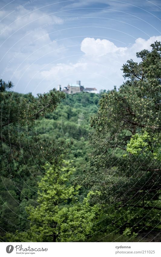 Wartburg Castle Calm Vacation & Travel Trip Far-off places Freedom Sightseeing Mountain Environment Nature Landscape Sky Summer Tree Forest Idyll Life