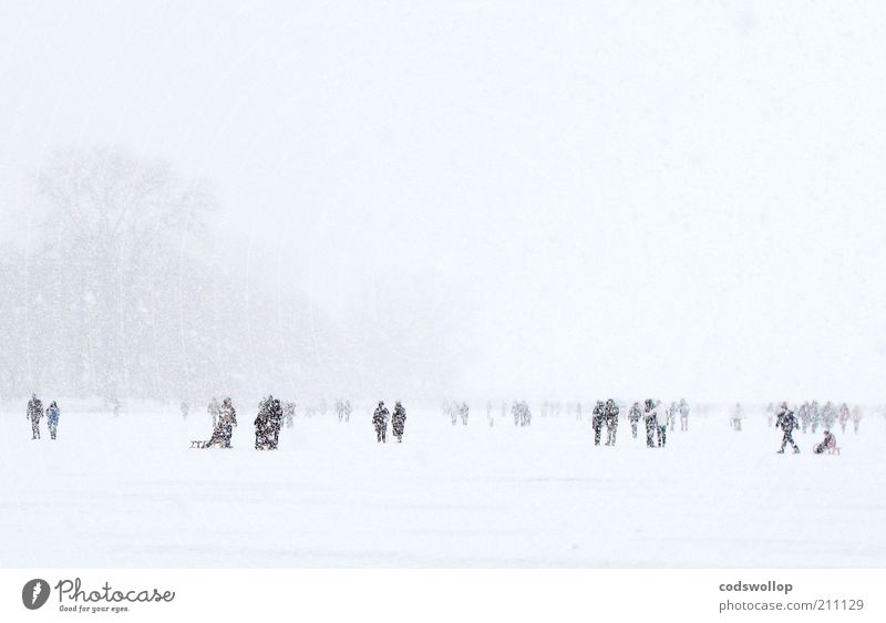 a walk on the lake Landscape Winter Weather Ice Frost Snow Snowfall Park Pedestrian Going Gray White Cold To go for a walk Hamburg Alster 2010 LS Lowry