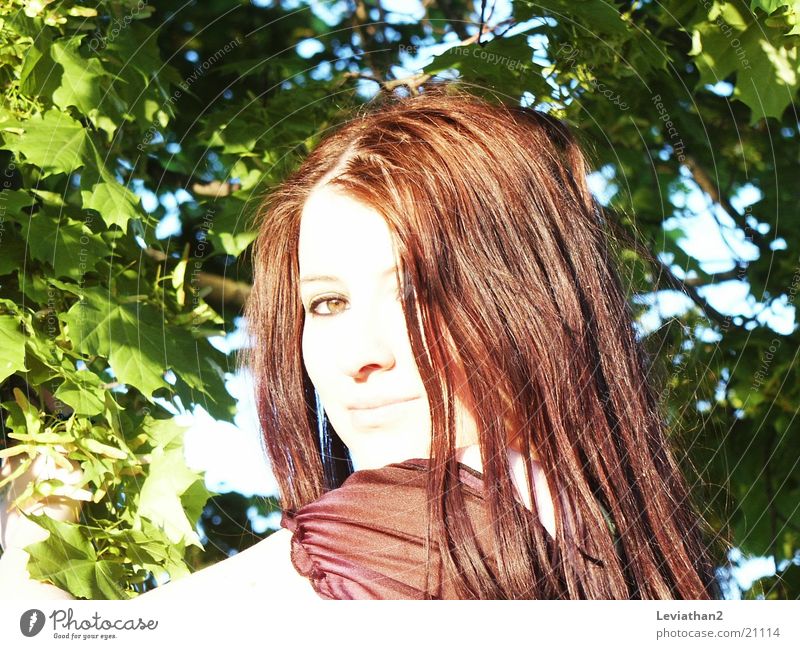 Summer weather II Light Pallid Woman Silhouette Red-haired Leaf green Human being Bright Profile sky blue Sky Looking Dominant