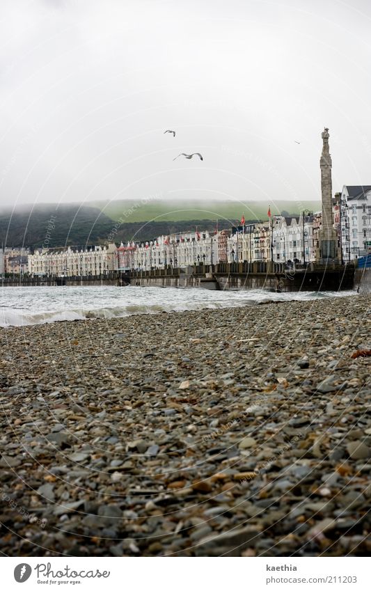 beach whisper Sightseeing City trip Architecture Flying Ocean Waves Seagull Bird England Isle of Man Tower Stone Fog Clouds Water Wave action Coast Town