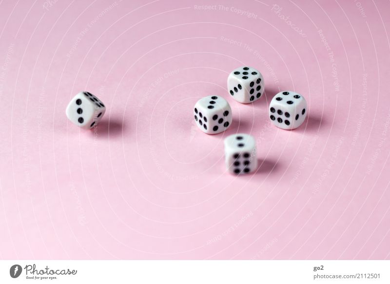 gambling Leisure and hobbies Playing Game of chance Dice Digits and numbers Happy Joy Colour photo Interior shot Studio shot Close-up Deserted Copy Space left