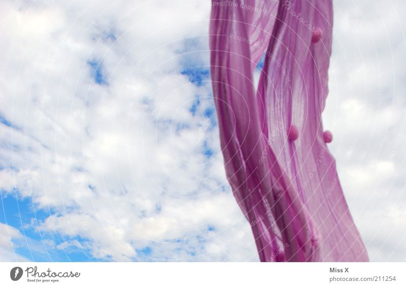 Windy Sky Beautiful weather Cloth Scarf Headscarf Colour photo Multicoloured Exterior shot Deserted Copy Space left Rag Suspended Violet Freedom Gust of wind