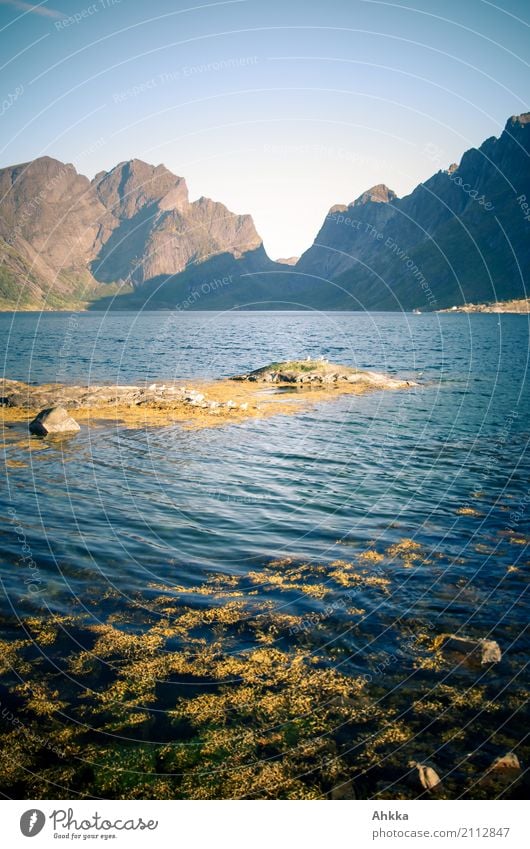 North sea meets mountain Harmonious Well-being Contentment Senses Relaxation Calm Meditation Vacation & Travel Tourism Adventure Nature Landscape Bad weather