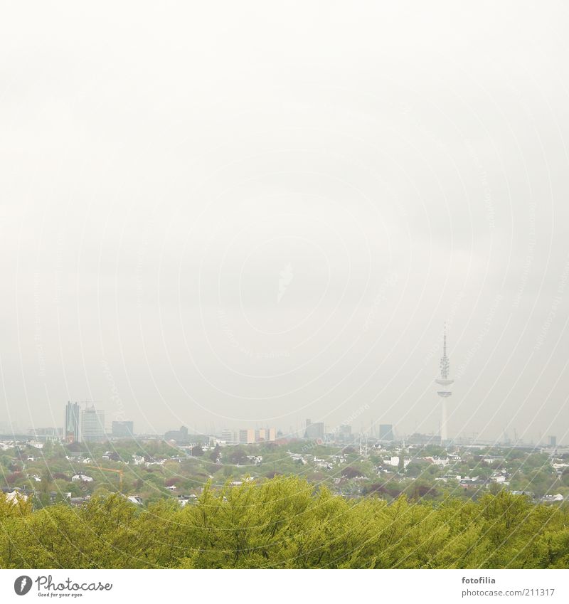 grey-green Hamburg Landscape Bad weather Fog Tree Town Capital city Skyline High-rise Park Tower Tourist Attraction Discover Large Tall Gray Green