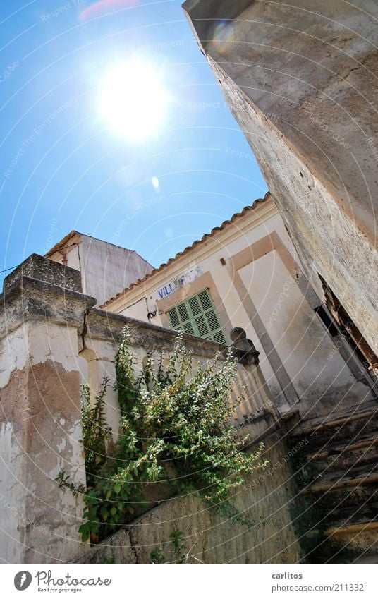 VILLA ROSA Cloudless sky Sun Summer Beautiful weather Bushes Small Town House (Residential Structure) Ruin Wall (barrier) Wall (building) Facade Old Illuminate