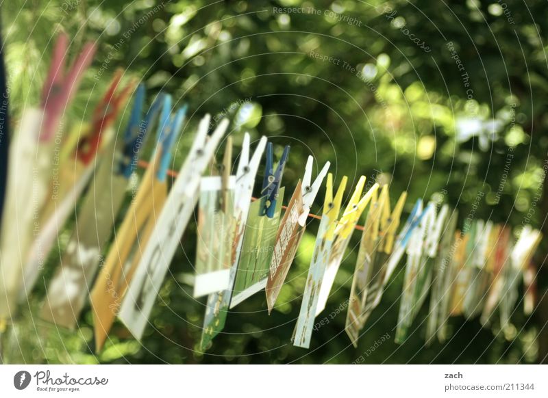 cards Garden Feasts & Celebrations Exhibition Stationery Collection Hang Green Orderliness Design Creativity Card Clothes peg clothesline Row Exterior shot