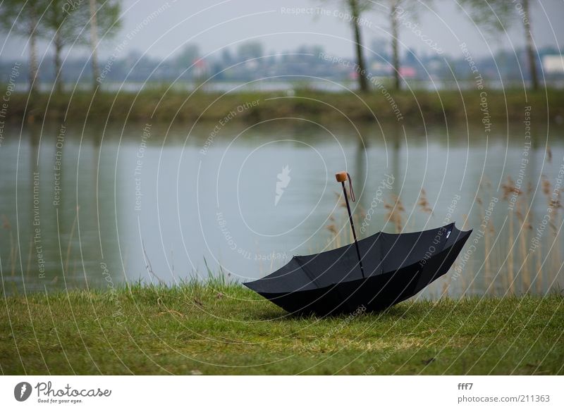 Falling Umbrella Nature Landscape Earth Water Clouds Storm clouds Horizon Climate Bad weather Tree Grass Island Lake Emotions Moody umbrella mirror Colour photo