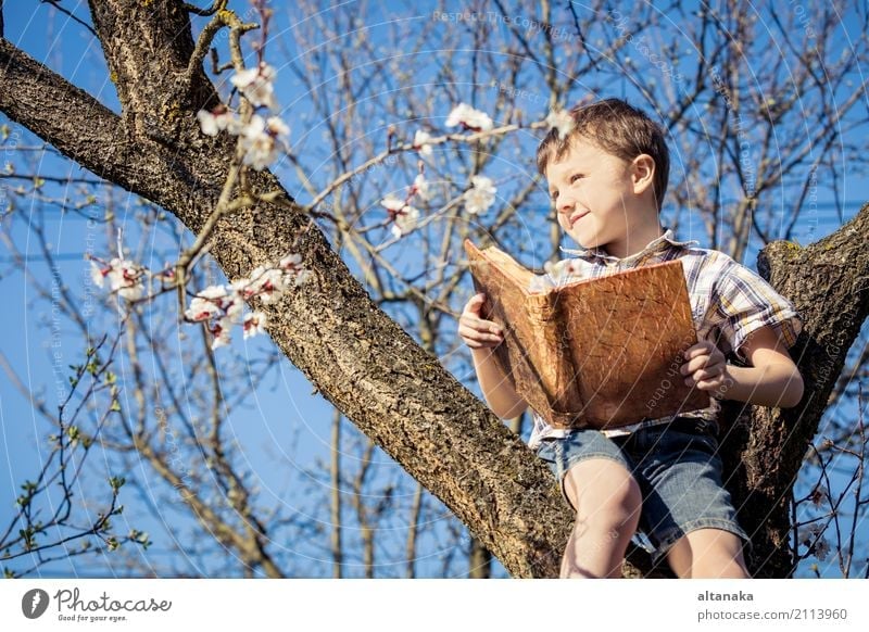 One little boy reading a book on a blossom tree. Concept children and science. Lifestyle Joy Happy Beautiful Leisure and hobbies Reading Summer Child School