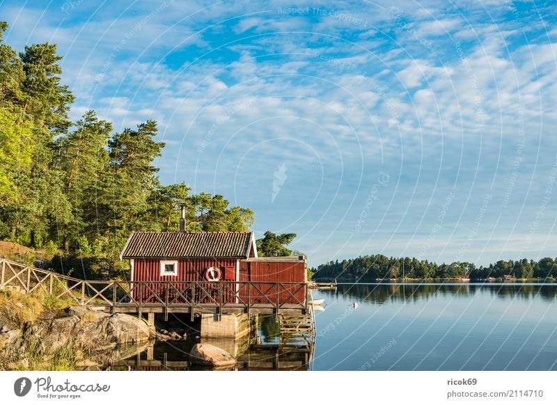 Archipelago off the Swedish coast of Stockholm Relaxation Vacation & Travel Tourism Island House (Residential Structure) Nature Landscape Clouds Tree Coast