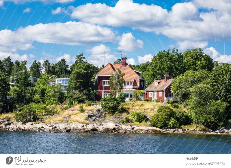 Archipelago on the Swedish Baltic Sea coast off Stockholm Relaxation Vacation & Travel Tourism Island House (Residential Structure) Nature Landscape Clouds Tree