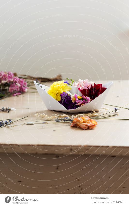 Flower boat Leisure and hobbies Handicraft Summer Decoration Table Plant Blossom Dahlia Lavender Paper Paper boat Wood Blossoming Fragrance Fresh Beautiful