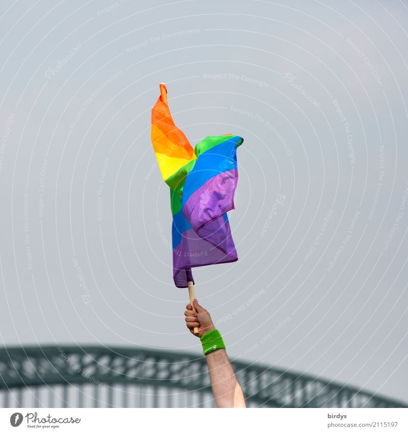 Man waving a rainbow flag at the CSD in Cologne Rainbow flag queer LGBTQ Christopher Street Day Masculine Prismatic colors 1 Human being Hand Love Flag Sex