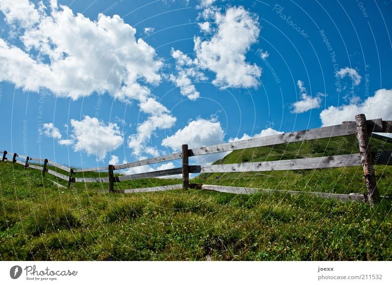 room divider Nature Landscape Plant Clouds Summer Beautiful weather Grass Meadow Hill Blossoming Fragrance Blue Green Calm Relaxation Idyll Fence Fence post