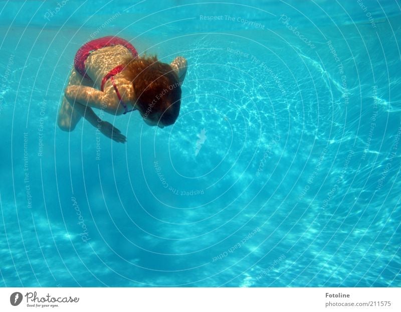 holiday fun Joy Swimming & Bathing Vacation & Travel Summer Human being Child Girl Infancy Skin Hair and hairstyles Back Arm Hand Legs Dive Bright Cold Wet Blue