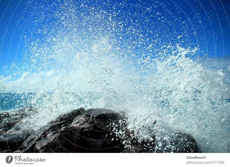 splash Water Drops of water Coast Reef Ocean Surf Glittering Wet Blue Power Colour photo Exterior shot Contrast Waves Splash of water Deserted Rock