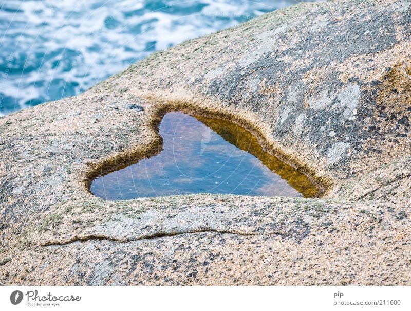 love the sea Nature Water Summer Coast Bay Souvenir Heart Stone Wet Love heart-shaped Puddle Water reflection Lovesickness Natural Erosion Rock Waves Furrow