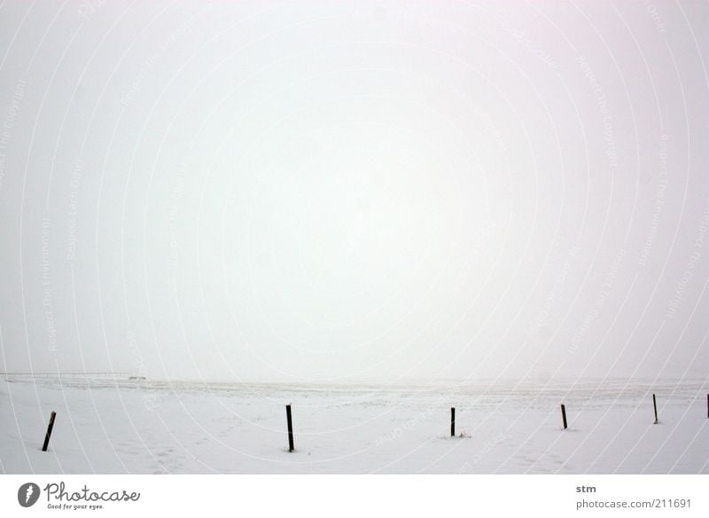 spiritualized 3 Environment Nature Landscape Elements Horizon Winter Climate Climate change Weather Fog Ice Frost Snow Meadow Field Simple White Serene Calm