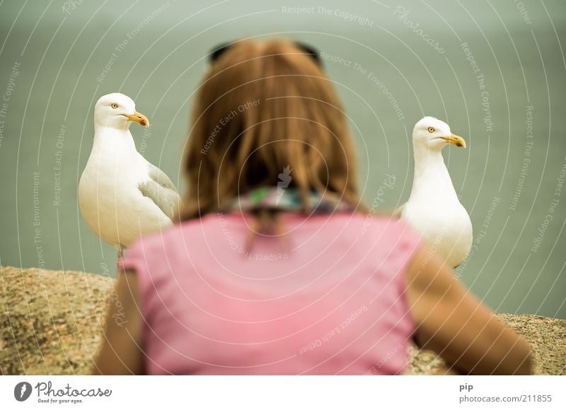 mine, mine Woman Adults Head Back 1 Human being Bird Seagull 2 Animal Observe Feeding Looking Brash Funny Near Curiosity Pink Optimism Together Patient Interest
