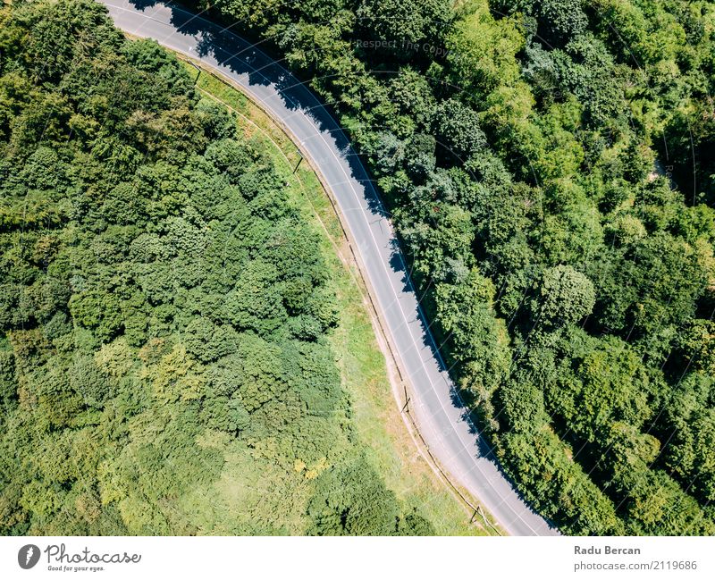 Aerial View Of Road Running Through Carpathian Mountains Forest Vacation & Travel Far-off places Freedom Expedition Summer Environment Nature Landscape Plant