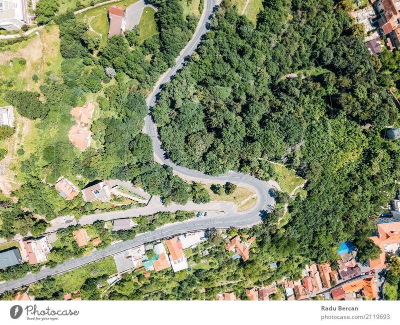 Aerial View Of Road Running Through Carpathian Mountains Forest Vacation & Travel Summer Environment Nature Landscape Plant Tree Transport