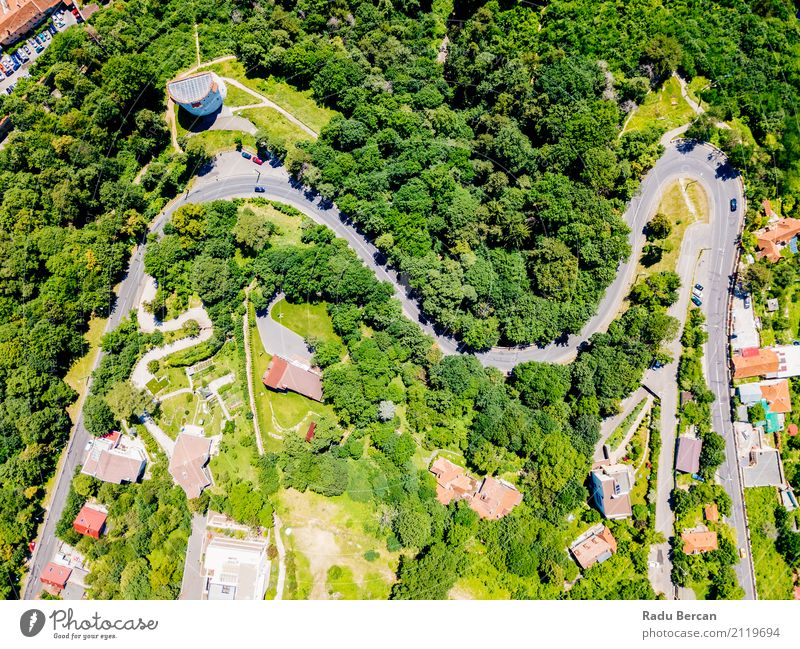 Aerial View Of Road Running Through Carpathian Mountains Forest Vacation & Travel Adventure Far-off places Freedom Summer Environment Nature Landscape Tree