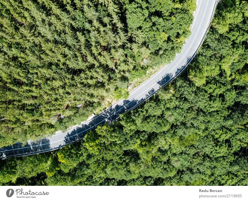 Aerial View Of Road Running Through Carpathian Mountains Forest Vacation & Travel Summer Environment Nature Landscape Plant Beautiful weather Tree Transport