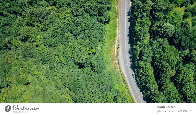 Aerial View Of Road Running Through Carpathian Mountains Forest Environment Nature Landscape Summer Beautiful weather Tree Transport Street