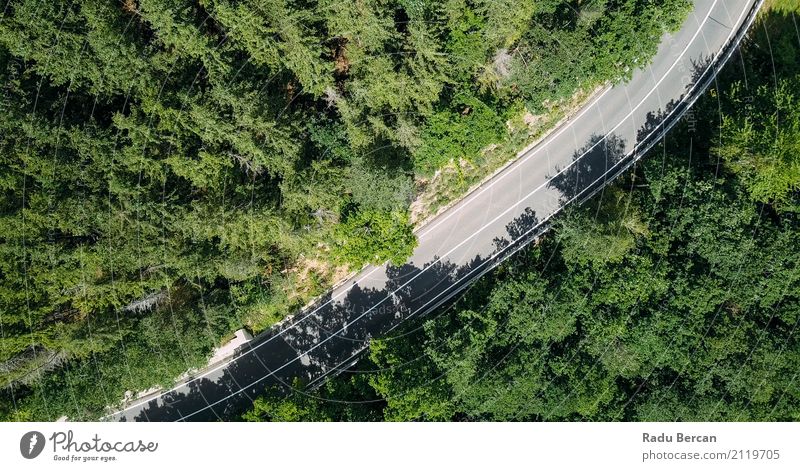 Aerial View Of Road Running Through Carpathian Mountains Forest Environment Nature Landscape Plant Earth Summer Beautiful weather Tree Traffic infrastructure