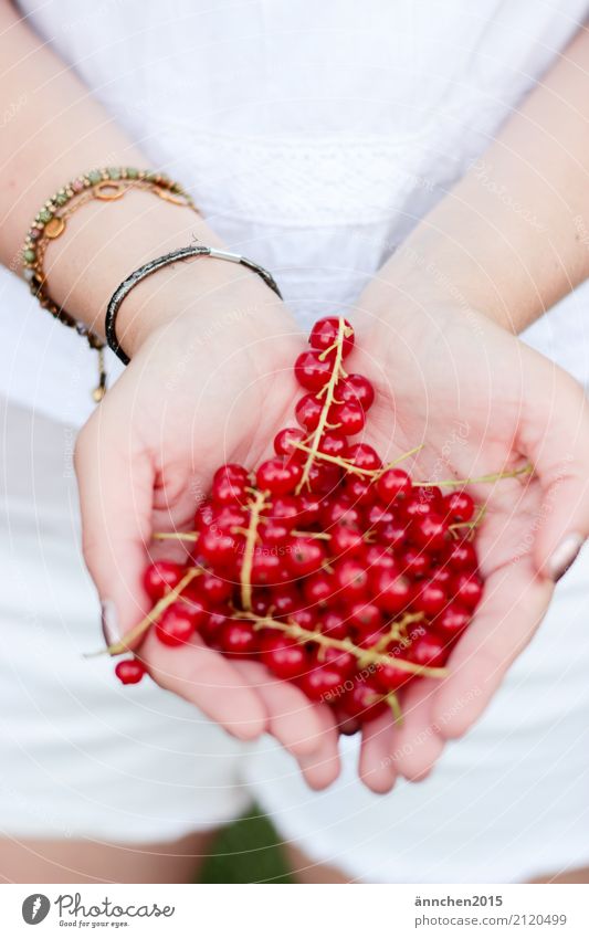 Currants II Berries Redcurrant Healthy Eating Dish Food photograph Summer Accumulate Fruit Hand To hold on Woman White Green Spring