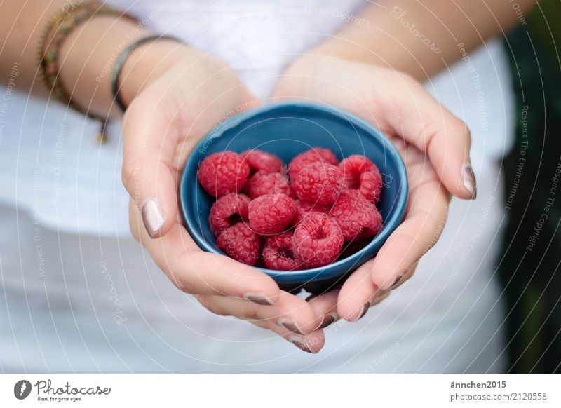 Raspberries :) Raspberry Bowl Blue Hand To hold on Red Summer Joy Healthy Eating Dish Food photograph Pick amass Process Fruit Nature Plant Landscape format