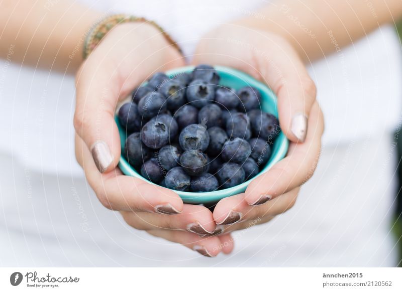 blueberries II Blueberry Healthy Eating Dish Food photograph To hold on Youth (Young adults) Young woman Nature Bright Exterior shot healty Berries Fruit