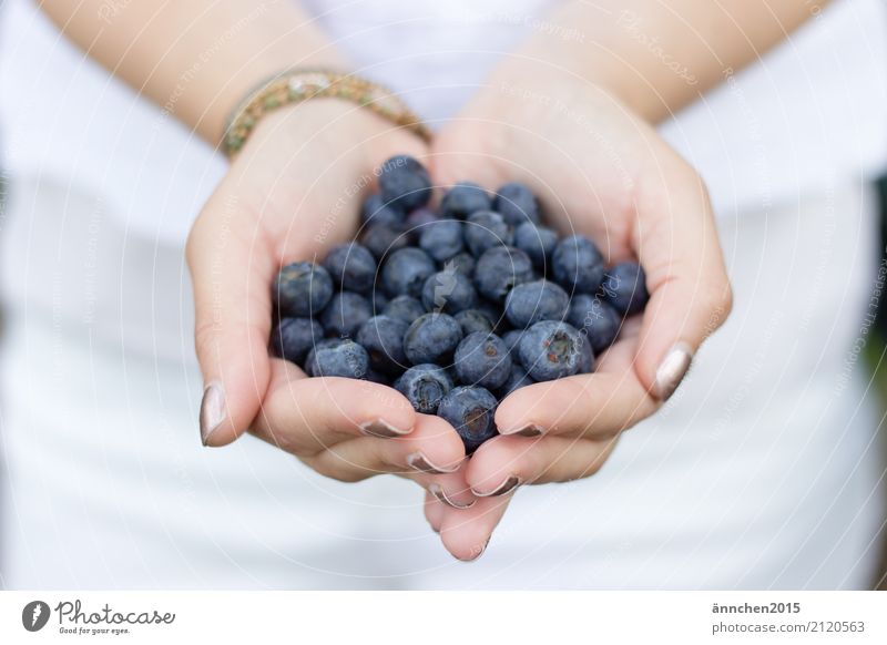 Blueberries I Blueberry Healthy Eating Dish Food photograph To hold on Youth (Young adults) Young woman Nature Bright Exterior shot healty Berries Fruit