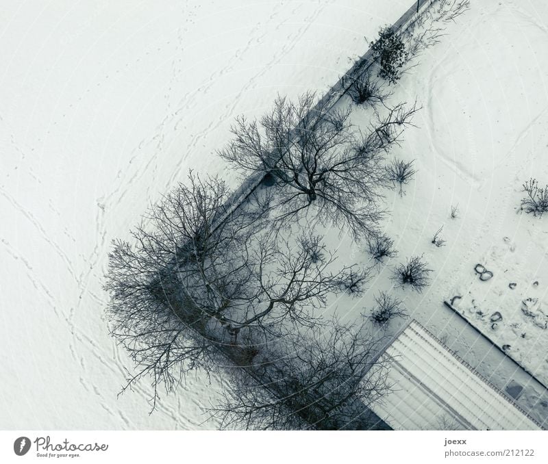 menace Winter Snow Tree Garden Roof Cold Under Boundary line Bird's-eye view Colour photo Subdued colour Exterior shot Aerial photograph Copy Space left