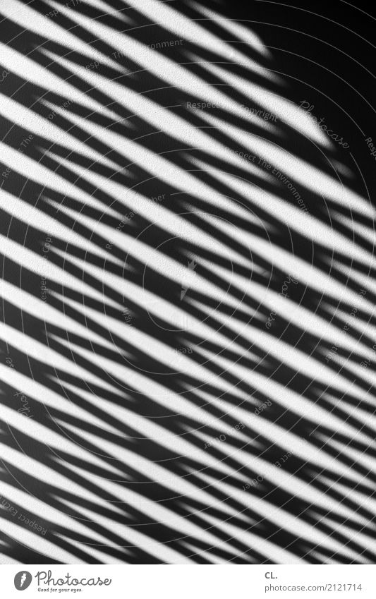 zigzag Deserted Wall (barrier) Wall (building) Line Esthetic Sharp-edged Complex Precision Stress Zigzag Shadow play Black & white photo Exterior shot Abstract