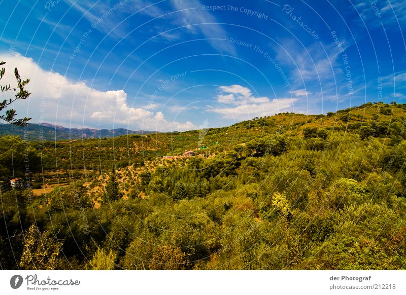 Somewhere else Nature Landscape Plant Sky Tree Grass Bushes Hill Mountain Discover Colour photo Exterior shot Deserted Copy Space top Copy Space bottom Day
