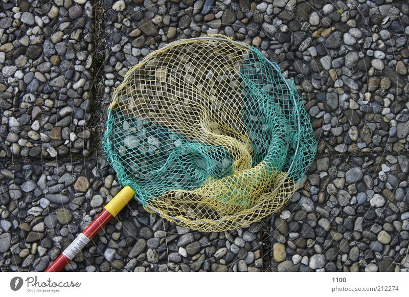 "caught nothing" Fishing (Angle) Catch Catching net Fishery Fishing net Leisure and hobbies Landing net children's nets Ocean Net Fish trap Stone slab