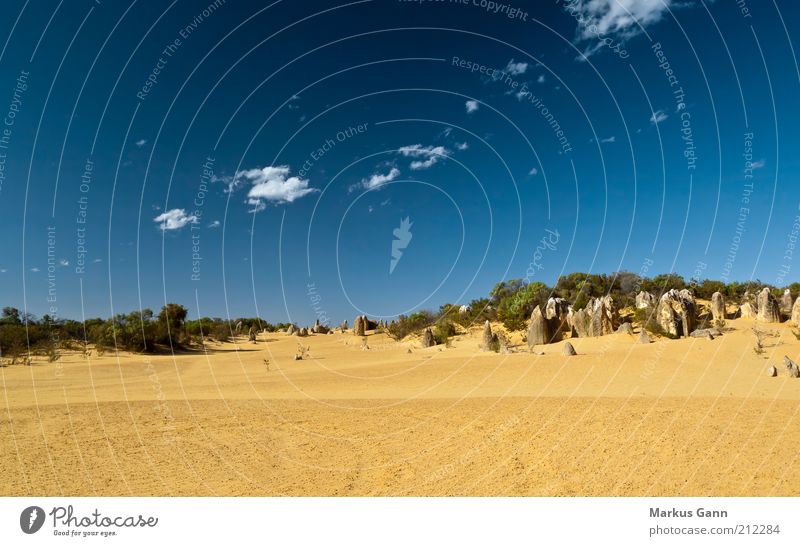 desert Vacation & Travel Nature Landscape Sand Sky Clouds Climate Desert Yellow Australia Minerals Nambung National Park Outback Pinnacles Dry Blue Stone Rock