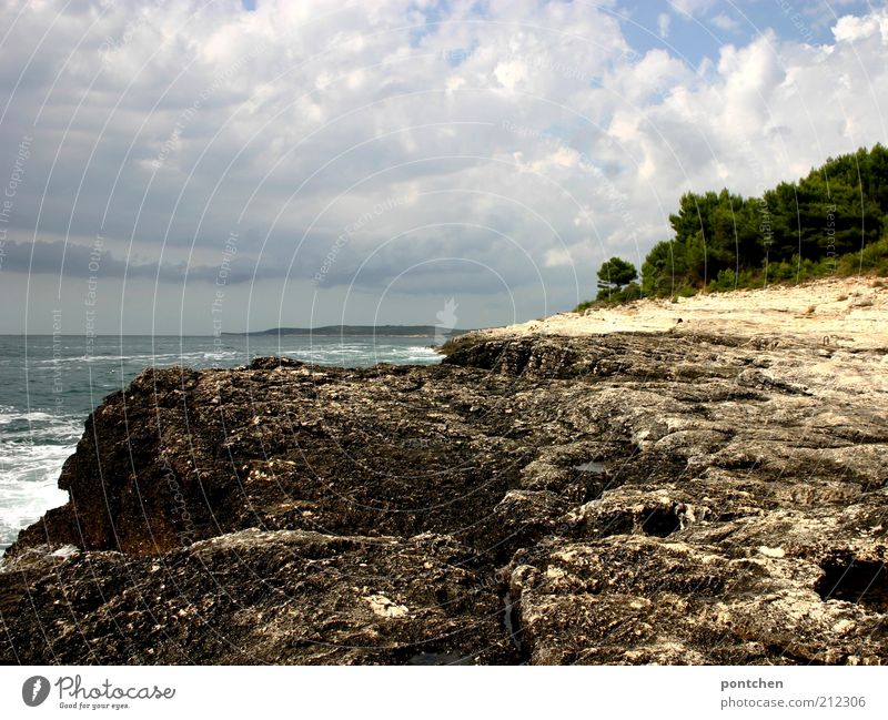 Fresh from Croatia Vacation & Travel Tourism Summer Summer vacation Ocean Waves Environment Nature Landscape Elements Water Sky Clouds Bushes Rock Coast