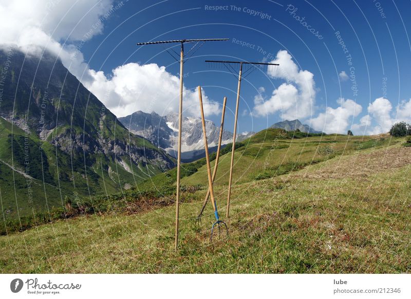 Break at the hay work Summer Mountain Tool Nature Landscape Sky Sun Climate Beautiful weather Meadow Alps Freedom Hay Hay harvest Fork Forest of Bregenz
