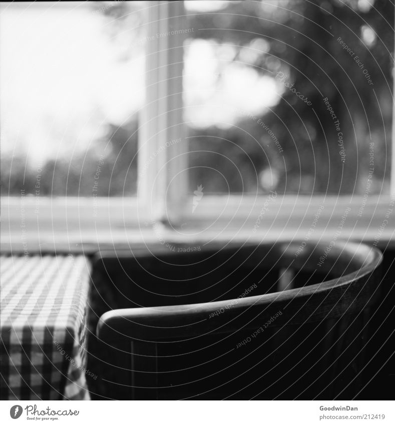 analog conservatory Chair Table Winter garden Window Window pane Wood Gloomy Warmth Emotions Moody Contentment Spring fever Black & white photo Interior shot